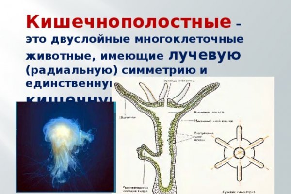 Кракен заблокировали